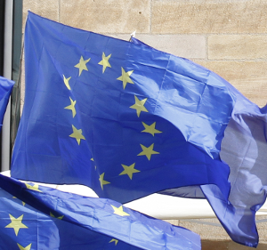 link to the web  site of #pulaseofeurope movement